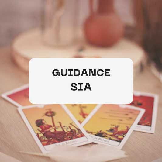 Guidance SIA